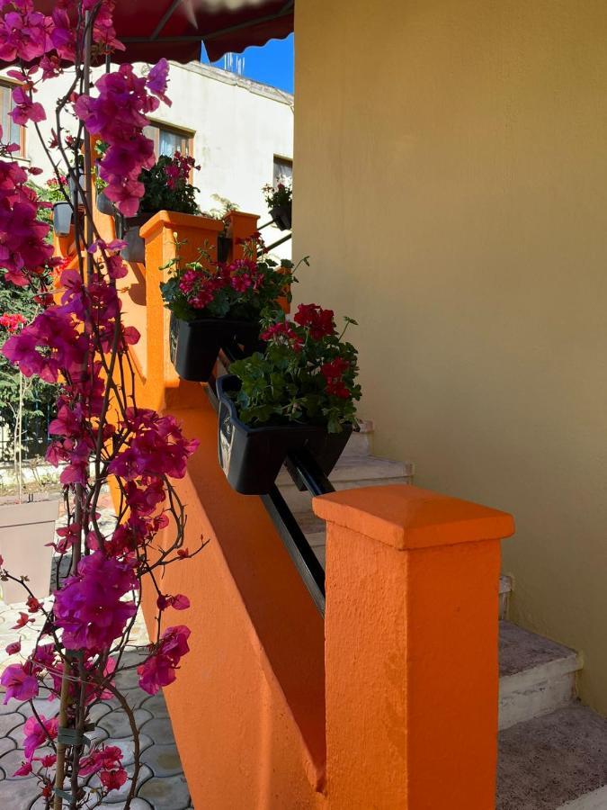 Marion Hotel تيرانا المظهر الخارجي الصورة